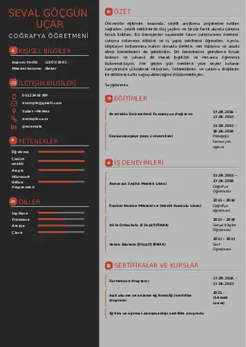 Coğrafya Öğretmeni CV Örnekleri cv indir